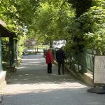 Bezohladne spravanie navstevnikov ZOO Krmili zvierata arogantne