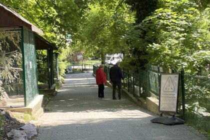 Bezohladne spravanie navstevnikov ZOO Krmili zvierata arogantne