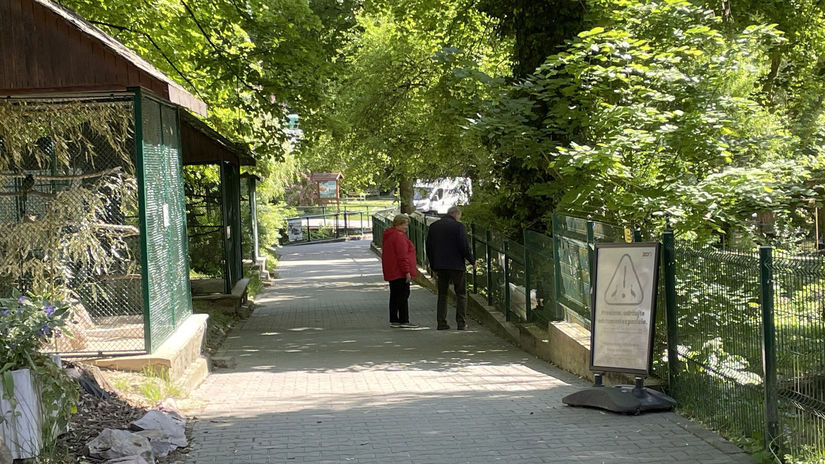 Bezohladne spravanie navstevnikov ZOO Krmili zvierata arogantne