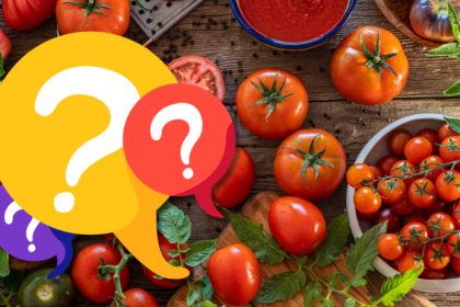 Kviz Ste skutocny znalec rajcin