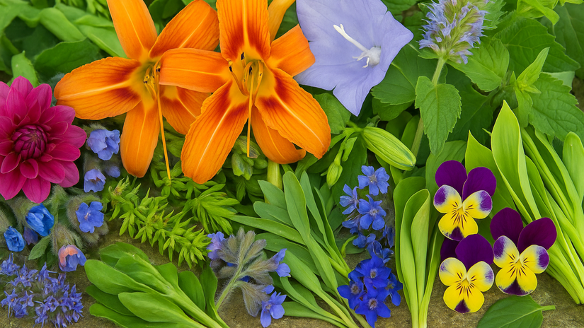 Neverite co vsetko mozete zjest 11 trvaliek chutnejsich nez salat