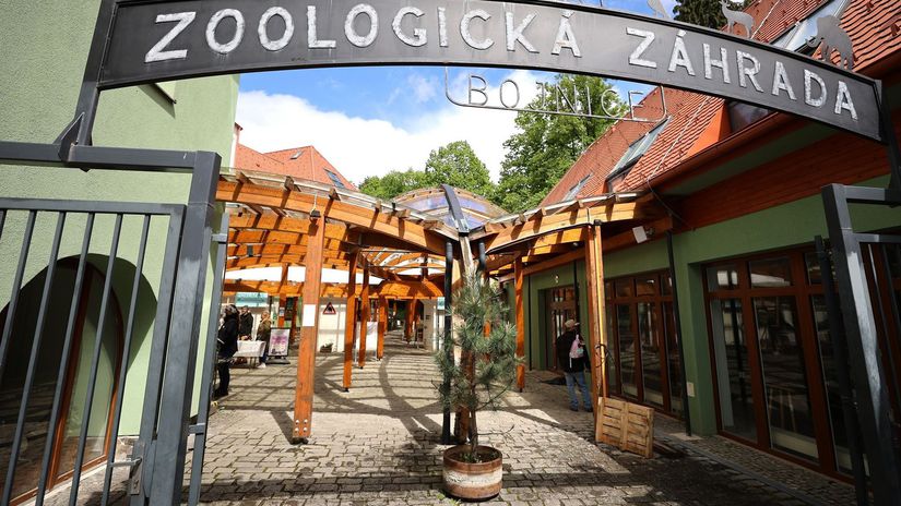 Preliezanie plotov stuchanie zvierat a cudne krmenie