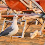 Mamma mia Kde su dovolenky Talianske plaze poloprazdne