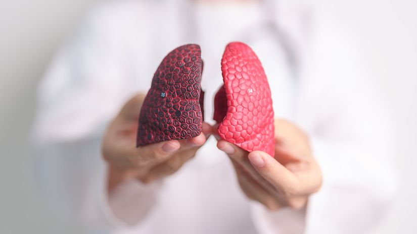 Organ y vypestovane v laboratoriu Prve mini pluca su tu