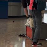 Boj o kazdy centimeter Pasazieri sa snazia vtesnat batozinu