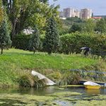 Kosice kupuju kupalisko Ryba kritici preferuju opravy ciest