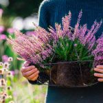 Kupili ste si vres v kvetinaci Rady na jeho prezitie