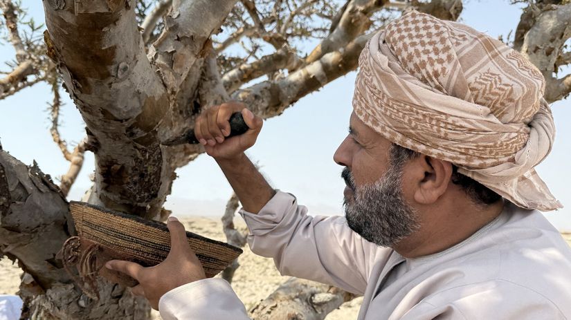 V omanskom udoli rastie poklad