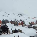 Na Evereste ostava uvaznenych dvesto horolezcov najmenej jeden zomrel