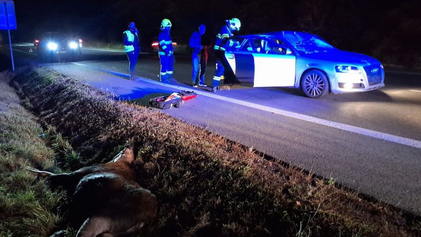 Pri Kosiciach sa auto zrazilo s losom dvaja zraneni