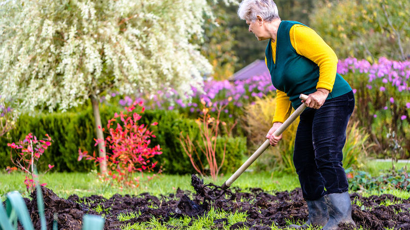 Skor nez poda zamrzne potrebuje ziviny