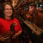 Slovenske vajcia sa menia na produkt so slnkom