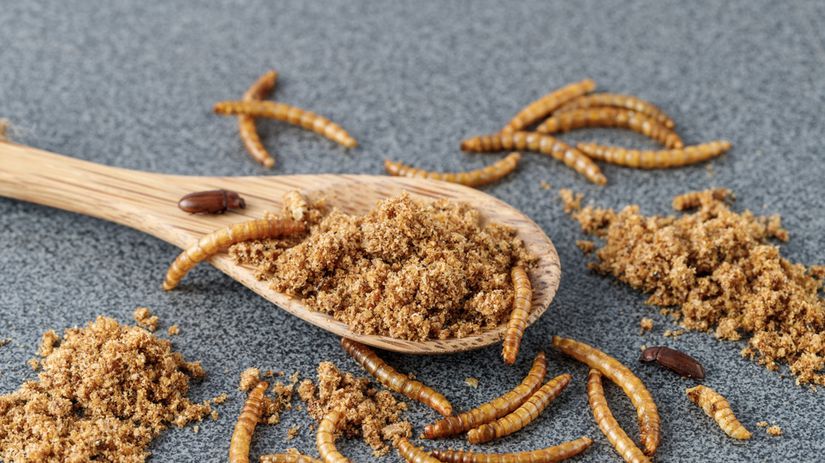 Brownies z mucneho cerva Chutnejsie nez klasicke