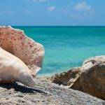 Najlepsie ostrovy sveta na navstevu v roku 2026