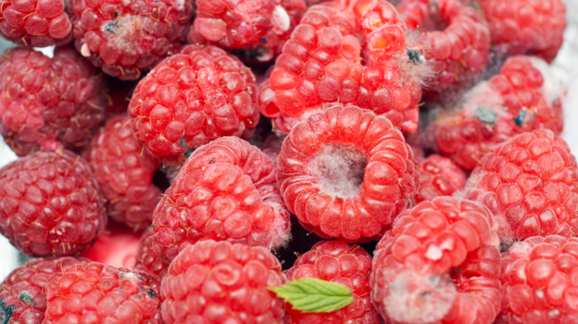 Pribudaju najma po sestdesiatke urychluju starnutie