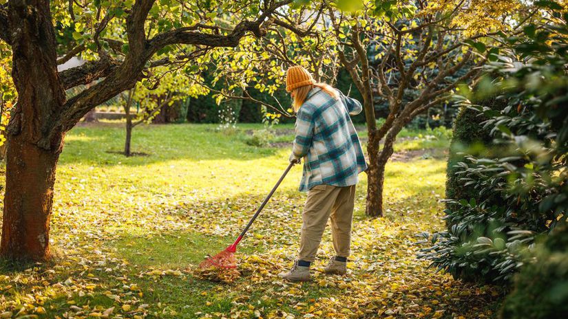 Upracte zahradu skor nez pridu mrazy