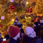 VIDEO FOTO V Bratislave rozsvietili vianocny stromcek
