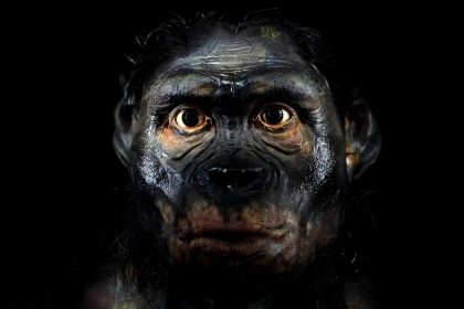 Ziadna katastrofa ani genocida tvrdia vedci Neandertalci nezmizli