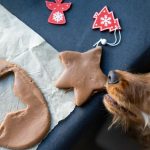 Ked sviatky koncia u veterinara psy najcastejsie otravi jedlo zo stola