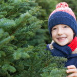 Nekupujte prvy vianocny stromcek ktory vidite rozdiel medzi dovozom a slovenskym povodom je velky