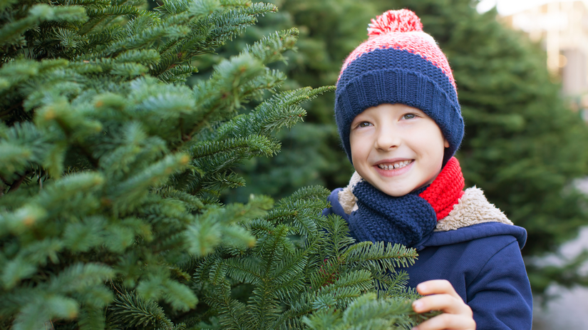 Nekupujte prvy vianocny stromcek ktory vidite rozdiel medzi dovozom a slovenskym povodom je velky