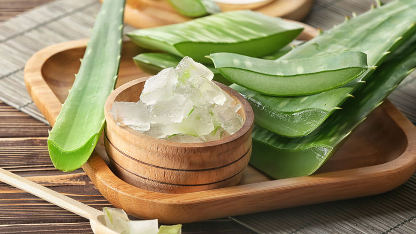 Vedci objavili v zahrade prelom v medicine