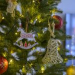 Vona ihlicia rozhoduje o ceste stromceka do obyvacky