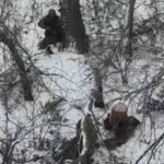 Vyzliekli ho Ruski vojaci popravili dvoch zajatych vojakov