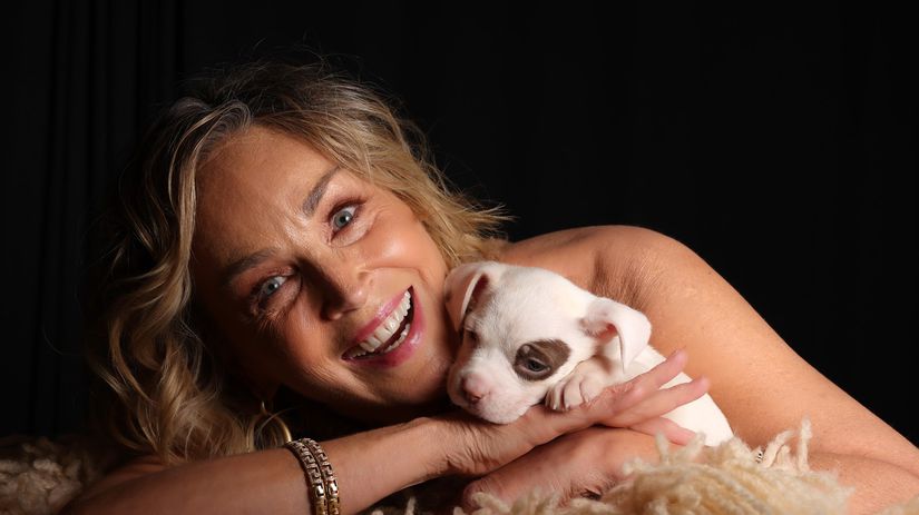 Kto si to sem do pekla sadol Sharon Stone nespoznali a vulgarne ju urazili Herecka im to oplatila drsnou lekciou o slave