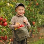 Mate malo miesta ale tuzite po ovoci Tento tvar stromov premiena male zahrady na urodne