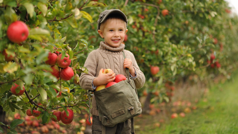 Mate malo miesta ale tuzite po ovoci Tento tvar stromov premiena male zahrady na urodne