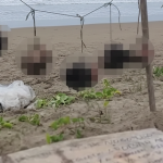 Na plazi nasli pat ludskych hlav