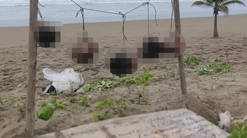 Na plazi nasli pat ludskych hlav