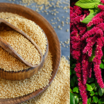 Podpora travenia kosti a svalov tato potravina je mimoriadne vhodna pre seniorov aj pri stravovacich obmedzeniach