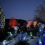 Kristalova zahrada v Prahe Zazracne vytvory sklara ktory spolupracoval s Danielom Craigom na filme