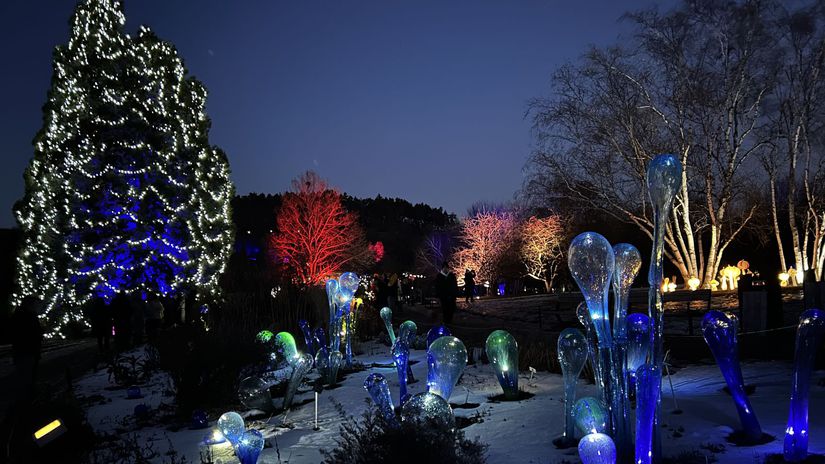 Kristalova zahrada v Prahe Zazracne vytvory sklara ktory spolupracoval s Danielom Craigom na filme