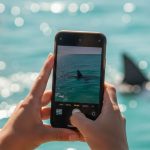 Krvava dan za selfie Turistka prisla o obe ruky ked sa pokusala odfotit s dravcom