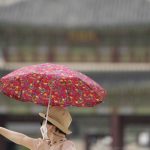 Ruska ambasada provokuje obrovskym transparentom Napis rozculil Juznu Koreu a ta ziada jeho odstranenie