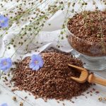 Silne srdce a vyrazne znizenie rizika rakoviny Zabezpeci ho male ale mocne semienko