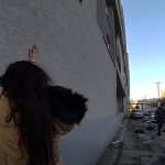 Zena poskodila v Bratislave sedem aut skoncila v putach jej odpoved policajtom pobavila internet