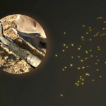 Iran spusta raketovy dazd a prelomi obranu nova taktika zasiahla slabiny izraelskeho stitu