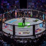 Policajny zasah v Malackach MMA zapasnik skoncil v putach Hrozi mu 25 rokov