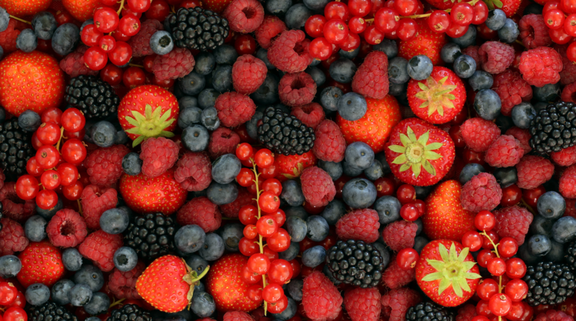 toto bezne jedlo z vasej kuchyne moze robic viac nez si myslite vedci hovoria o pomalsom starnuti