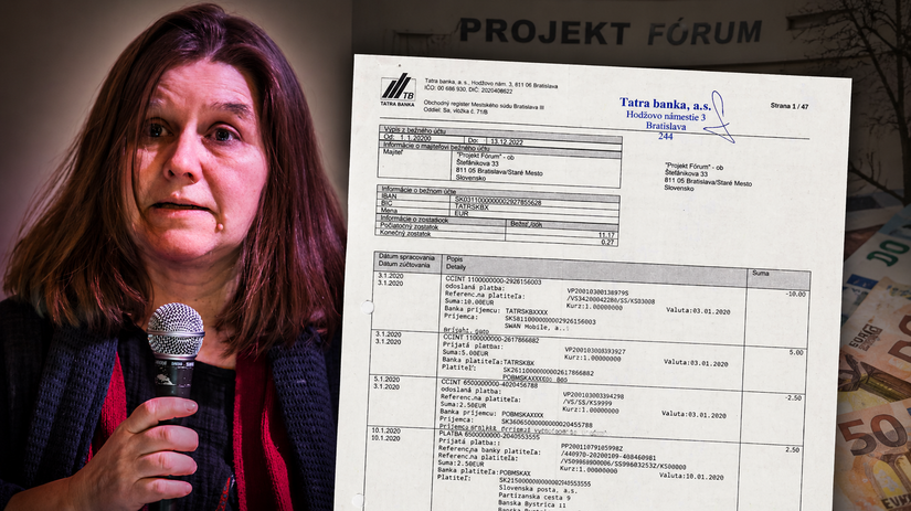 Sfalovane vypisy vybery hotovosti a nejasne prevody co odhalili dokumenty z kauzy Simeckovej matky