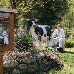 novinka v srdci nizkych tatier ma by dalsim lakadlom pre turistov nachadza sa v dedinke uprostred krasnej prirody
