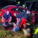 FOTO Piat ludi skoncilo v nemocnici Mlada vodicka sa pri vysokej rychlosti zrazila so stromom