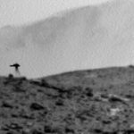 NASA zachytila na Marse nieco co tam o par sekund skor nebolo Internet debatuje o zahadnej meduze na tenkych nohach